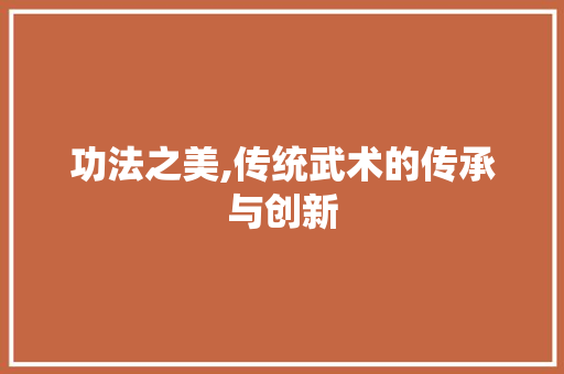 功法之美,传统武术的传承与创新