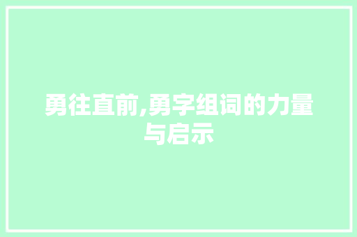 勇往直前,勇字组词的力量与启示