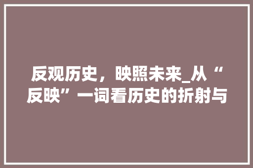 反观历史，映照未来_从“反映”一词看历史的折射与启示