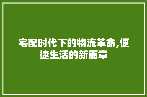 宅配时代下的物流革命,便捷生活的新篇章