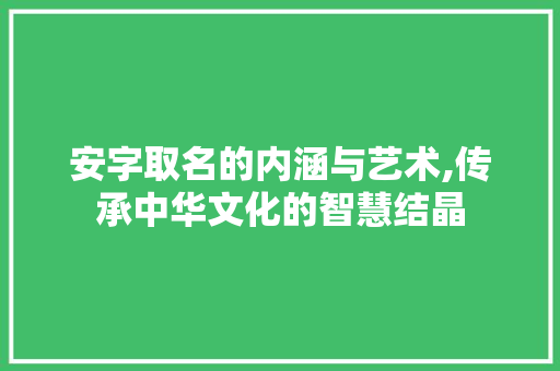 安字取名的内涵与艺术,传承中华文化的智慧结晶