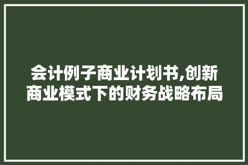 会计例子商业计划书,创新商业模式下的财务战略布局