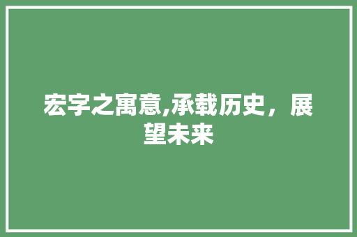 宏字之寓意,承载历史，展望未来 成语汇编