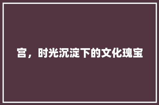 宫，时光沉淀下的文化瑰宝
