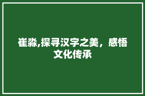 崔淼,探寻汉字之美，感悟文化传承