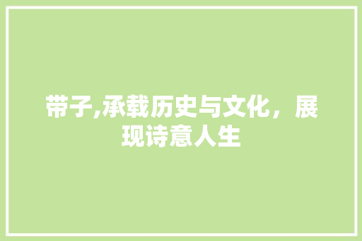 带子,承载历史与文化，展现诗意人生