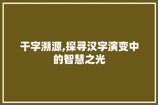 干字溯源,探寻汉字演变中的智慧之光