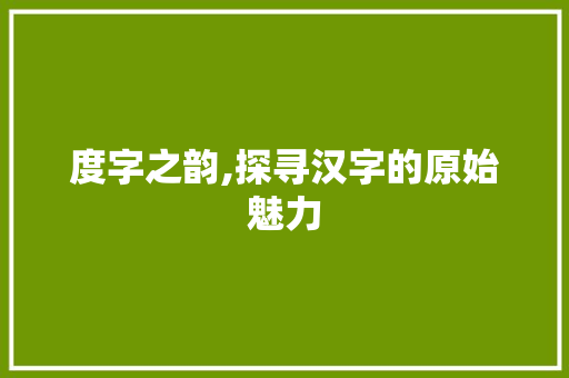 度字之韵,探寻汉字的原始魅力