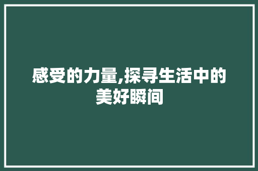 感受的力量,探寻生活中的美好瞬间