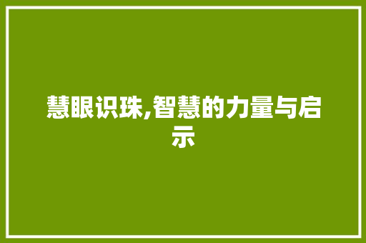 慧眼识珠,智慧的力量与启示