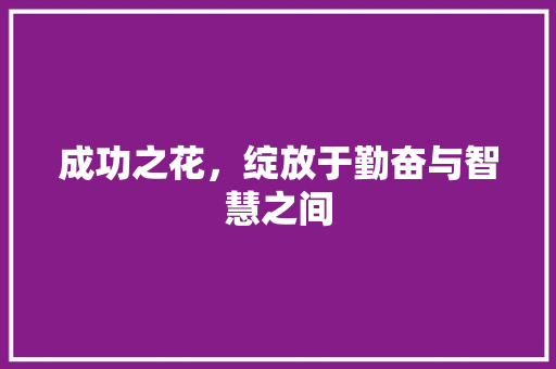成功之花，绽放于勤奋与智慧之间