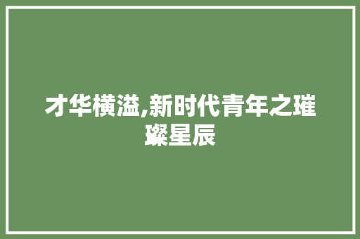 才华横溢,新时代青年之璀璨星辰 近义词汇