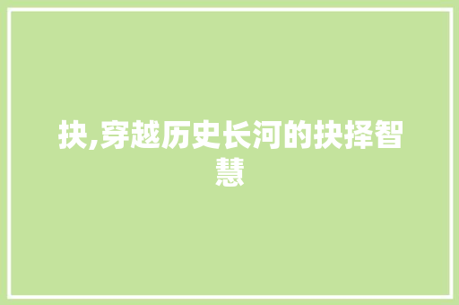 抉,穿越历史长河的抉择智慧