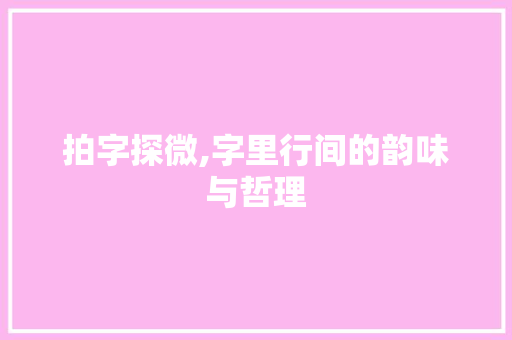 拍字探微,字里行间的韵味与哲理