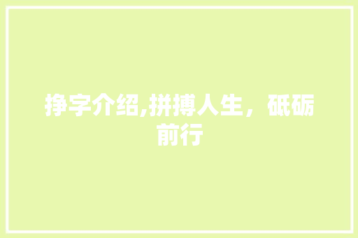 挣字介绍,拼搏人生，砥砺前行