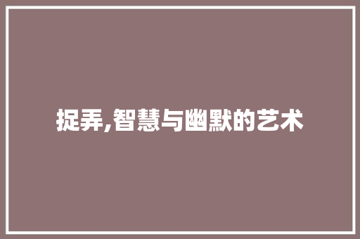捉弄,智慧与幽默的艺术