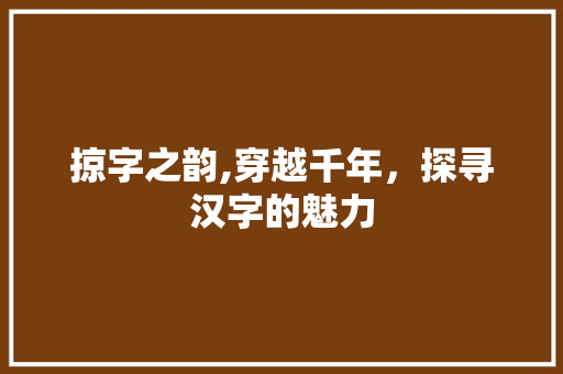 掠字之韵,穿越千年，探寻汉字的魅力