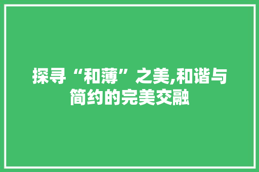 探寻“和薄”之美,和谐与简约的完美交融