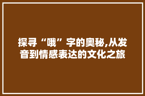 探寻“哦”字的奥秘,从发音到情感表达的文化之旅
