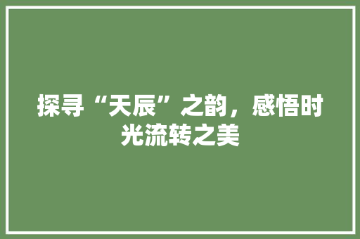 探寻“天辰”之韵，感悟时光流转之美