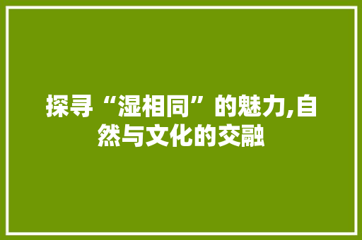 探寻“湿相同”的魅力,自然与文化的交融