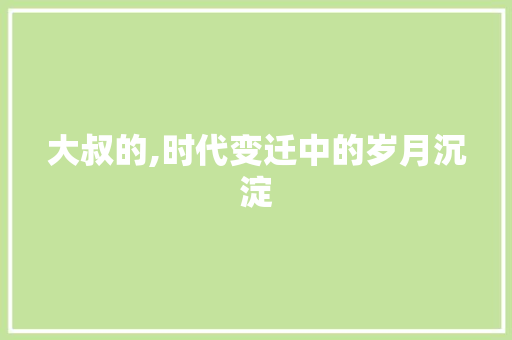 大叔的,时代变迁中的岁月沉淀