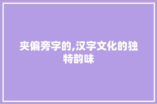 夹偏旁字的,汉字文化的独特韵味
