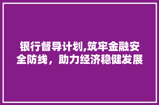 银行督导计划,筑牢金融安全防线，助力经济稳健发展