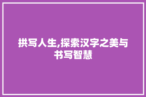 拱写人生,探索汉字之美与书写智慧
