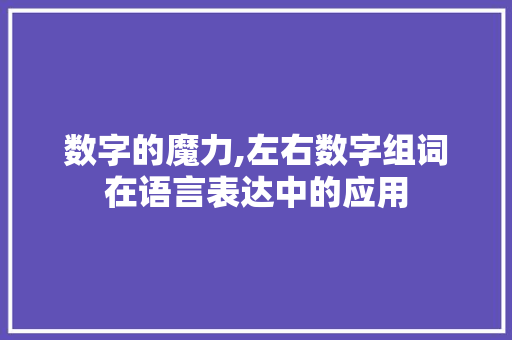 数字的魔力,左右数字组词在语言表达中的应用
