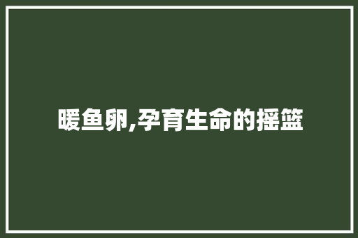 暖鱼卵,孕育生命的摇篮