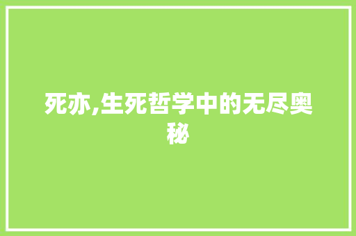 死亦,生死哲学中的无尽奥秘