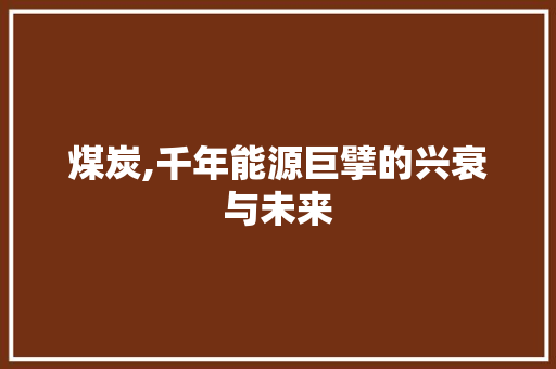 煤炭,千年能源巨擘的兴衰与未来