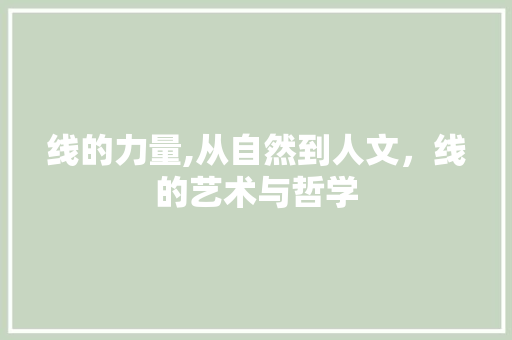 线的力量,从自然到人文，线的艺术与哲学