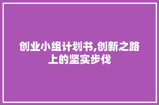创业小组计划书,创新之路上的坚实步伐 汉字拼音