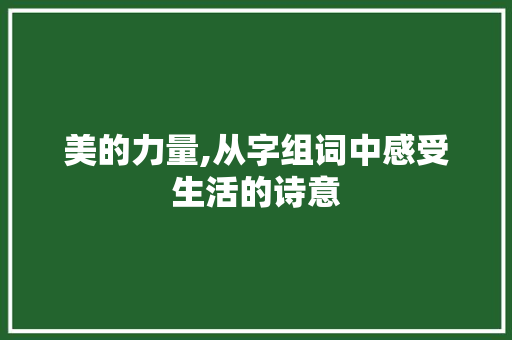 美的力量,从字组词中感受生活的诗意