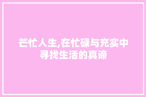 芒忙人生,在忙碌与充实中寻找生活的真谛