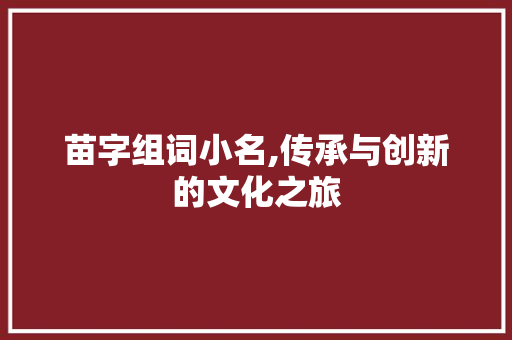 苗字组词小名,传承与创新的文化之旅
