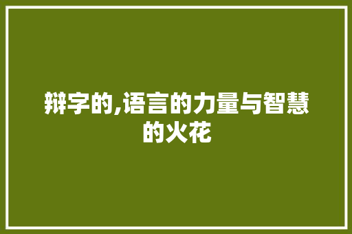 辩字的,语言的力量与智慧的火花