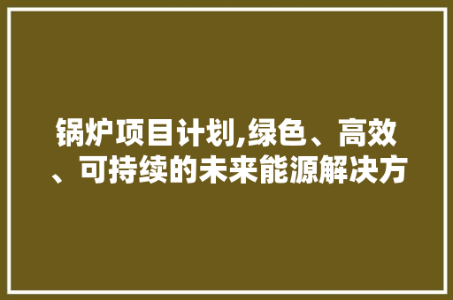 锅炉项目计划,绿色、高效、可持续的未来能源解决方法 反义词汇