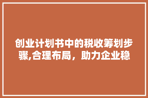 创业计划书中的税收筹划步骤,合理布局，助力企业稳健发展