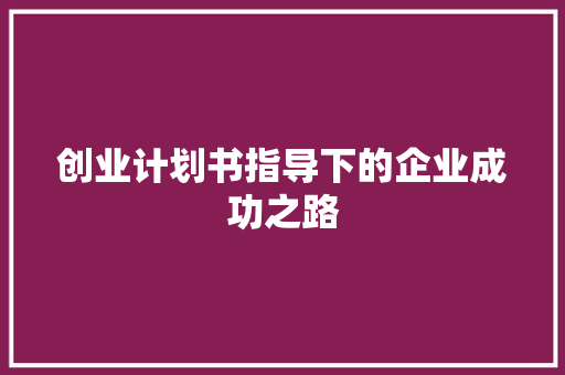 创业计划书指导下的企业成功之路