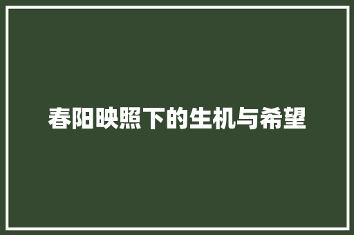 春阳映照下的生机与希望