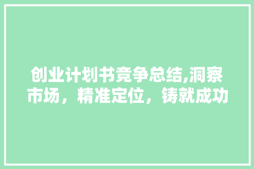 创业计划书竞争总结,洞察市场，精准定位，铸就成功之路