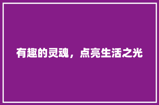 有趣的灵魂，点亮生活之光 古代典籍
