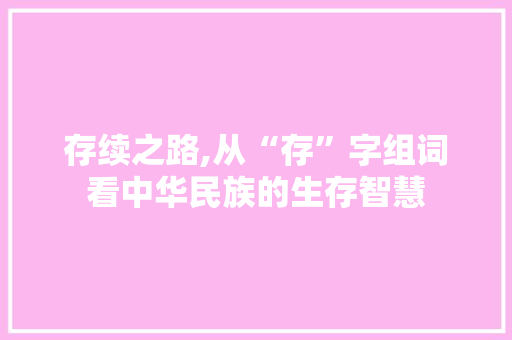 存续之路,从“存”字组词看中华民族的生存智慧