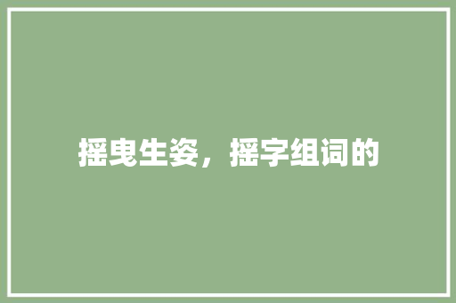 摇曳生姿，摇字组词的