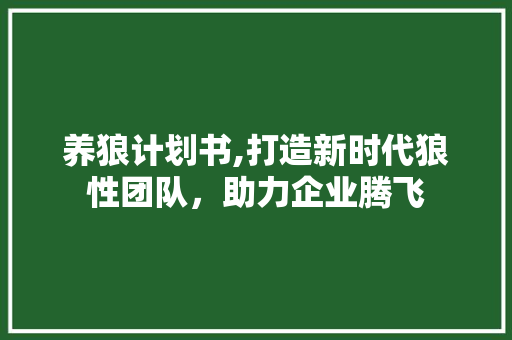 养狼计划书,打造新时代狼性团队，助力企业腾飞