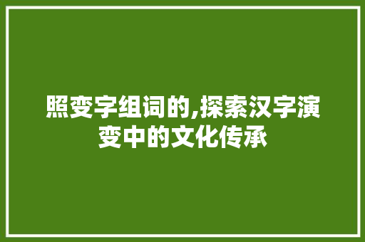 照变字组词的,探索汉字演变中的文化传承 英语单词