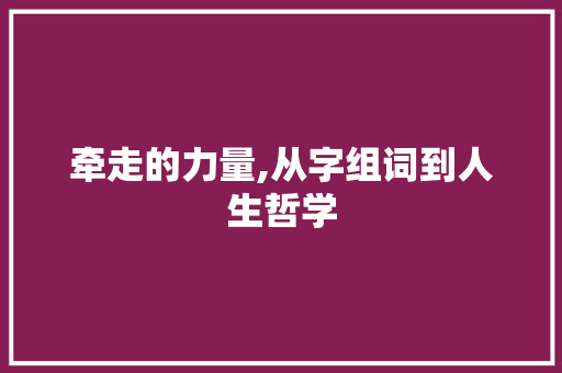 牵走的力量,从字组词到人生哲学